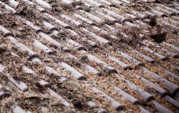 Charlwood roof cleaning companies